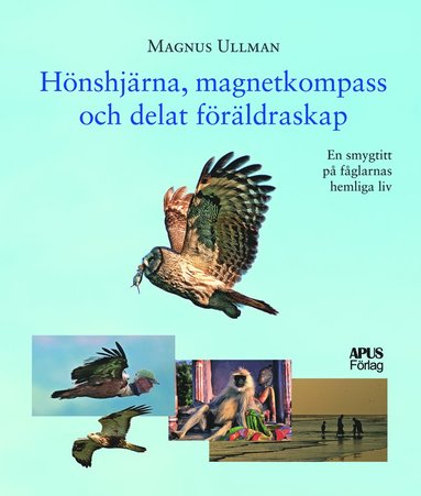 Hnshjrna, magnetkompass och delat frldraskap (inbunden)