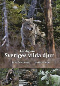 Lär dig om Sveriges vilda djur (häftad)