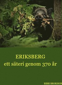 Eriksberg ett steri genom 370 r (inbunden)