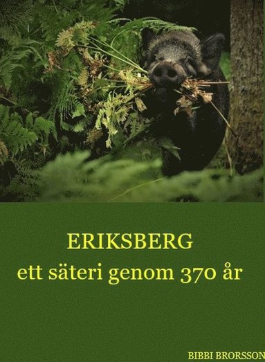 Eriksberg ett säteri genom 370 år (häftad)