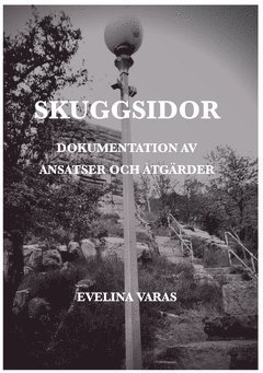 Skuggsidor : dokumentation av ansatser och tgrder (hftad)