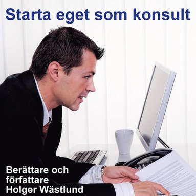 Starta eget som konsult - IT-konsult, PR-konsult, ekonomikonsult, byggkonsult m.m. (häftad)