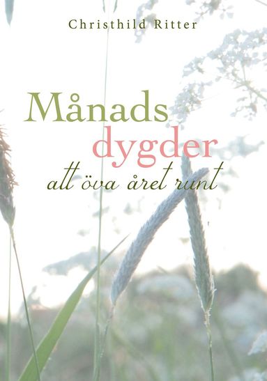 Mnadsdygder - att va ret runt, en vg till inre och yttre ledarskap (inbunden)
