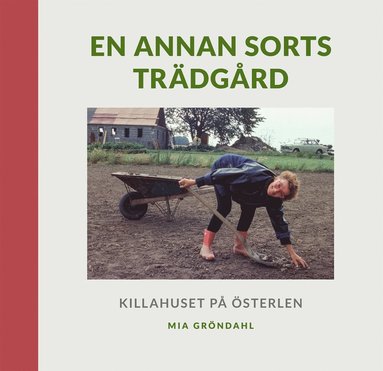 En annan sorts trdgrd : Killahuset p sterlen (inbunden)