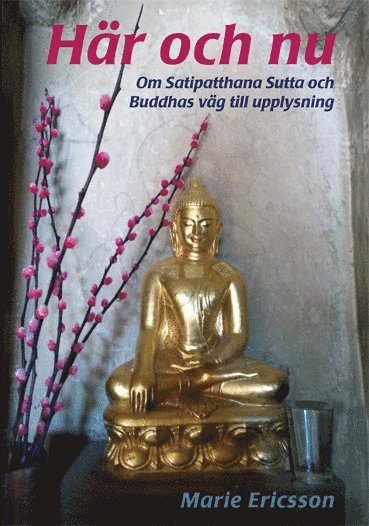 H�r och nu : om Satipatthana Sutta och Buddhas v�g till upplysning (h�ftad)