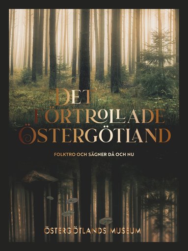 Det frtrollade stergtland : folktro och sgner d och nu (pocket)