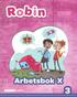 Robin �k 3 Arbetsbok X (Extra st�djande)