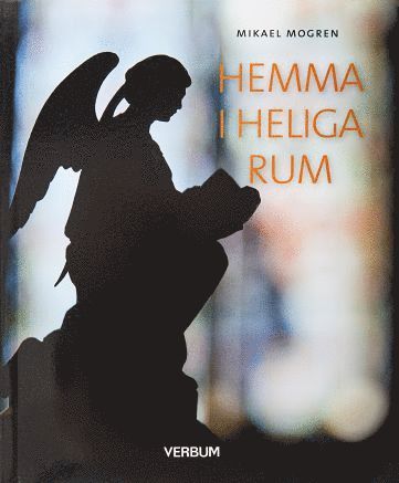 Hemma i heliga rum (hftad)