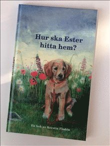 Hur ska Ester hitta hem? (hftad)