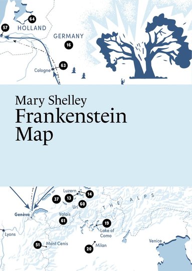 Mary Shelley, Frankenstein Map (häftad)