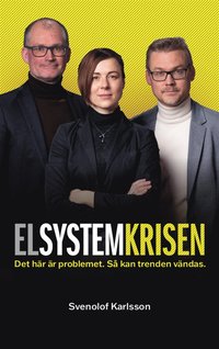 Elsystemkrisen (e-bok)