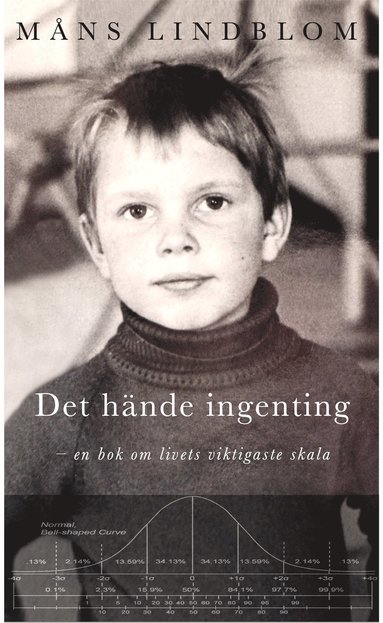 Det hände ingenting : en bok om livets viktigaste skala (inbunden)