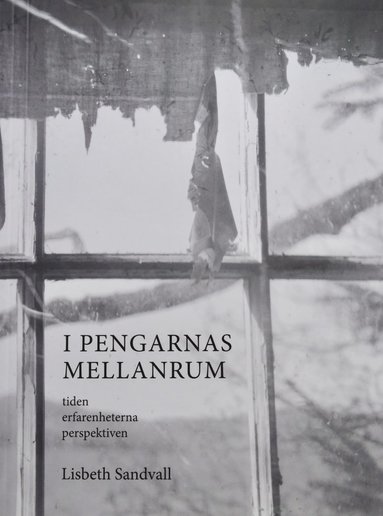 I pengarnas mellanrum : tiden, erfarenheterna, perspektiven (inbunden)