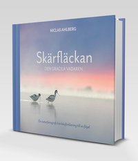 Skärfläckan : den gracila vadaren som bok, ljudbok eller e-bok.