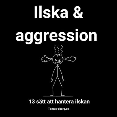Ilska & aggression -  13 stt att hantera ilskan (ljudbok)
