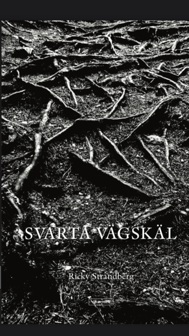 Svarta vgskl (pocket)