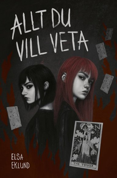 Allt du vill veta (kartonnage)