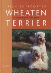 Irish softcoated wheaten terrier : en rasmonografi (häftad)