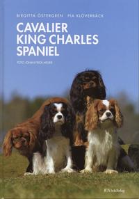 Cavalier king charles spaniel (inbunden)