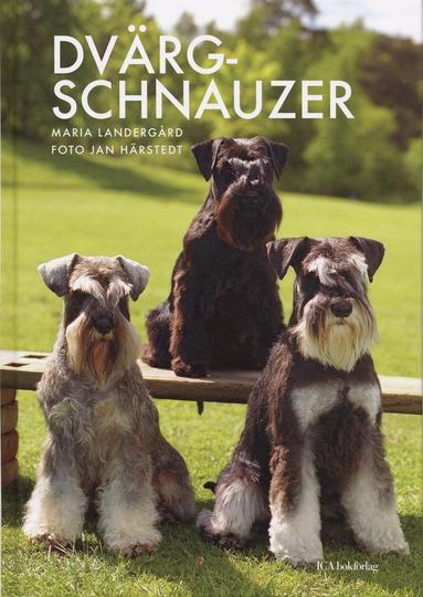 Dvärgschnauzer (häftad)