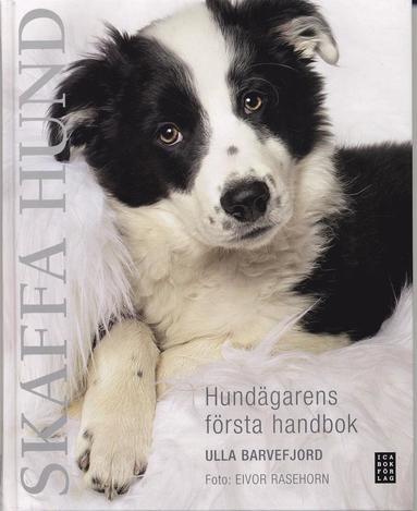 Skaffa hund : hundägarens första handbok (häftad)