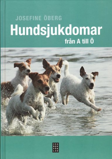 Hundsjukdomar från A till Ö (häftad)