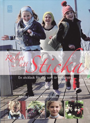 Roligt att sticka : en stickbok för dig som är nybörjare (häftad)