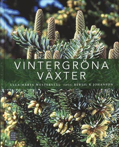 Vintergröna växter (kartonnage)