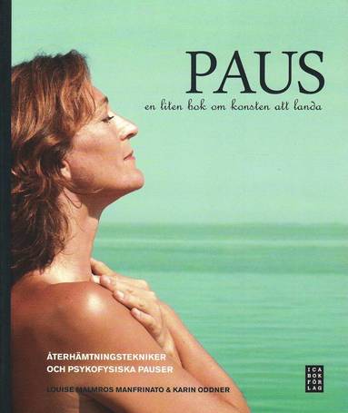 Paus : en liten bok om konsten att landa (hftad)