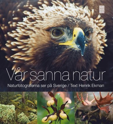 Vr sanna natur : naturfotograferna ser p Sverige (inbunden)