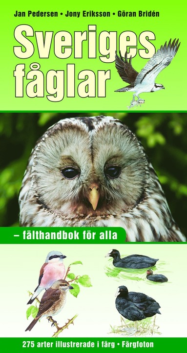 Sveriges fglar : flthandbok fr alla (pocket)