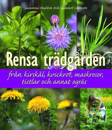 Rensa trädgården från kirskål, kvickrot, maskrosor, tistlar och annat ogräs (häftad)