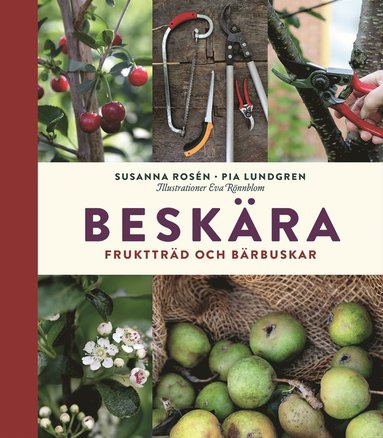 Beskära : fruktträd och bärbuskar (kartonnage)