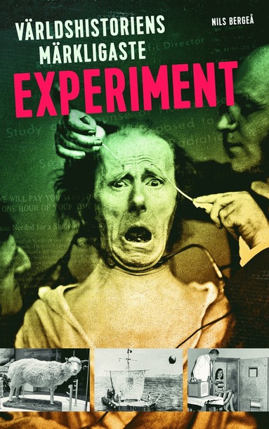 Vrldshistoriens mrkligaste experiment (inbunden)