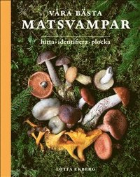 Våra bästa matsvampar : hitta, identifiera, plocka som bok, ljudbok eller e-bok.