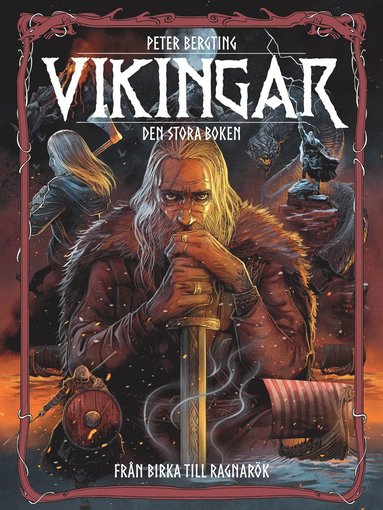 Vikingar - den stora boken : frn Birka till Ragnark (inbunden)