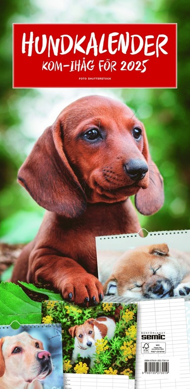 Hundkalender 2025 (inbunden)