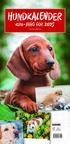 Hundkalender 2025