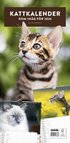 Kattkalender 2026