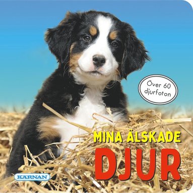 Mina lskade djur (inbunden)