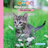 Omslag: Mina djurvänner : söta djurungar