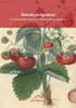 Älskade jordgubbar! - Ett bärkraftigt kulturarv i Nationella genbanken