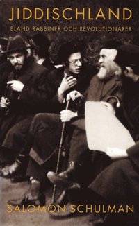 Jiddischland : bland rabbiner och revolutionrer (pocket)