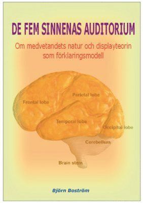 De fem sinnenas auditorium : om medvetandets natur och displayteorin som frklaringsmodell (hftad)