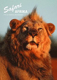 Safari Afrika (häftad)