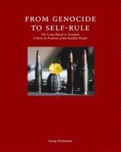 Frn folkmord till sjlvstyre : kurdernas lnga vg till frihet (inbunden)