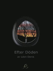 Efter dden : en framstllning av andarnas lra (inbunden)