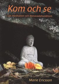 Kom och se : om meditation och theravadabuddhism (pocket)