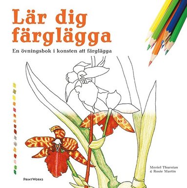 Lr dig frglgga : en vningsbok i konsten att frglgga (kartonnage)