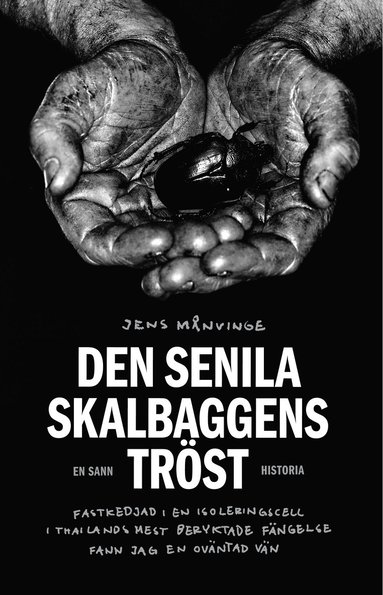 Den senila skalbaggens tr�st : fastkedjad i en isoleringscell i Thailands mest beryktade f�ngelse fann jag en ov�ntad v�n (inbunden)
